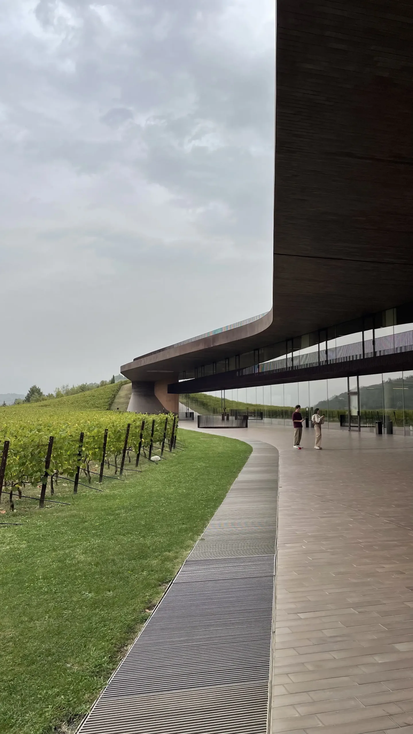 Cantina Antinori Scala